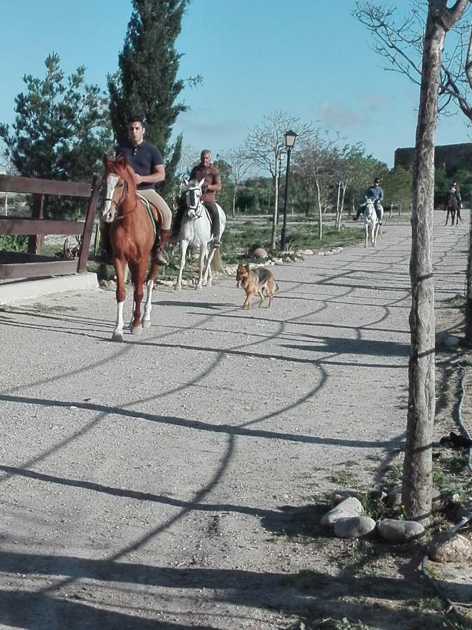 Finca La Constancia Murcia